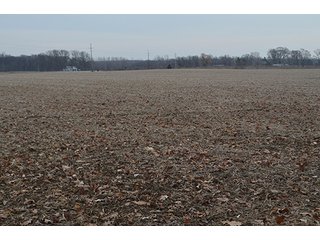 Property photo 1 - LAND AUCTION, 77 Acres offered in 3 Tracts